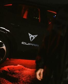 ynk